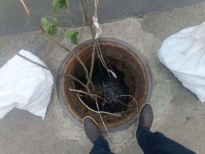 У Бердичеві водіїв закликають об’їжджати люки